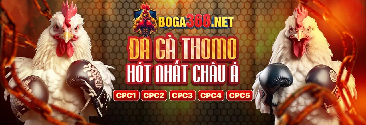 Đá Gà Trực Tuyến bj39 nhà cái - Sân Chọi Gà Hấp Dẫn