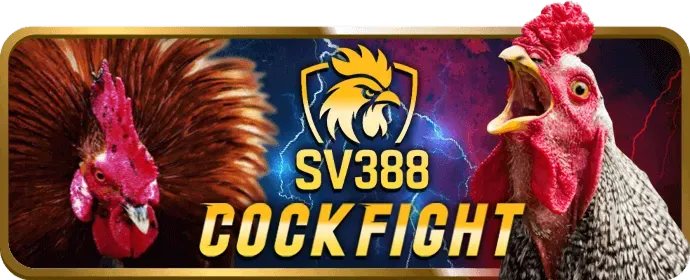 Cá cược bóng đá tại bj39 nhà cái